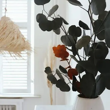 Apartment Superbe Avec Cheminee